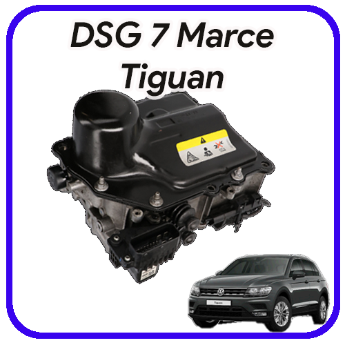 Meccatronica DSG 7 marce Tiguan Revisione e servizi